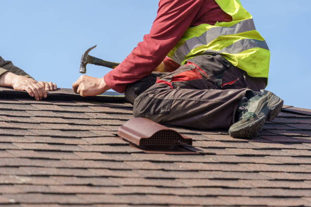 Best Metal Roofing Contractor  in North Tonawanda, NY